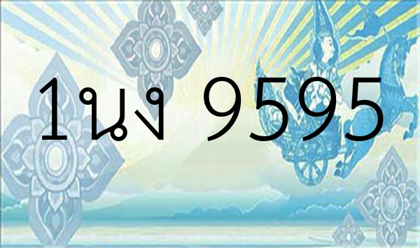 1นง 9595